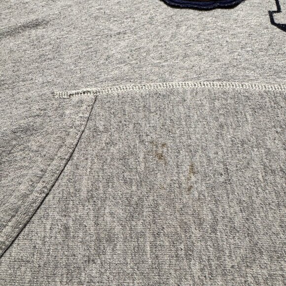 Ralph Lauren Polo Tiger Hoodie 2021 Grey Pullover Hoodie Medium - Picture 8 of 11